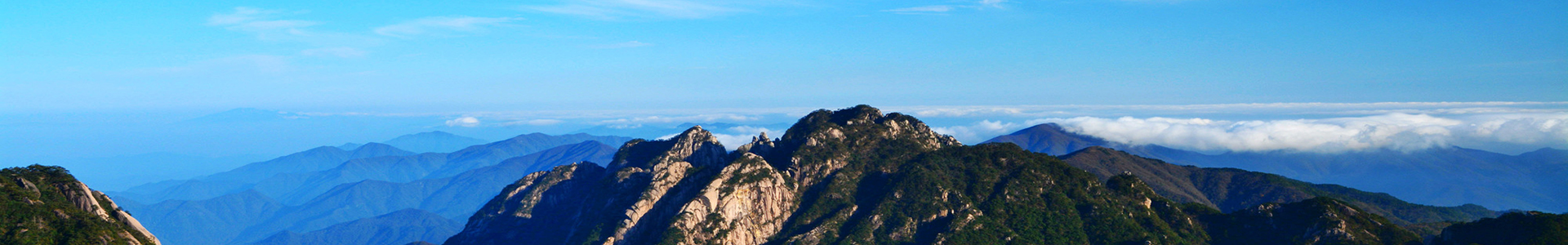 亚洲精品国产嫩草在线观看东京热